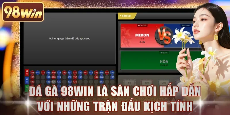 Đá gà 98WIN là sân chơi hấp dẫn với những trận đấu kịch tính