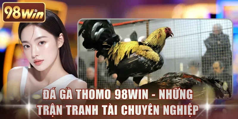 Đá Gà Thomo