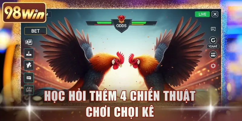 Học hỏi thêm 4 chiến thuật chơi chọi kê