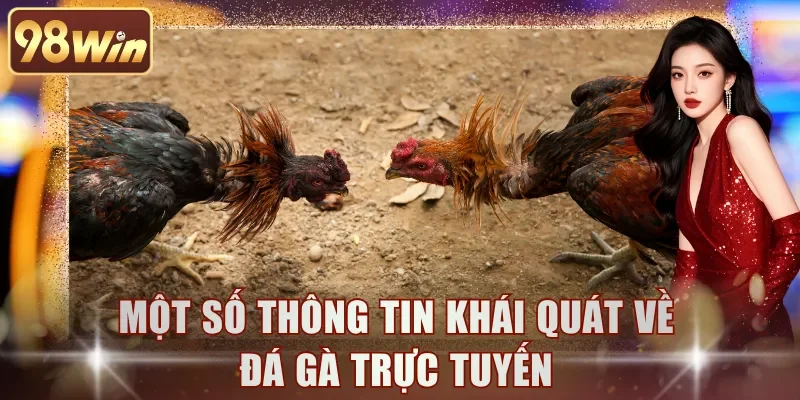 Một số thông tin khái quát về đá gà trực tuyến