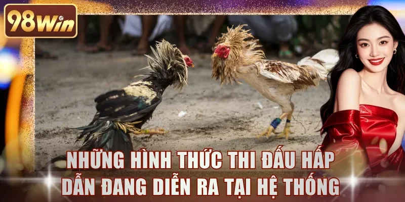 Những hình thức thi đấu hấp dẫn đang diễn ra tại hệ thống