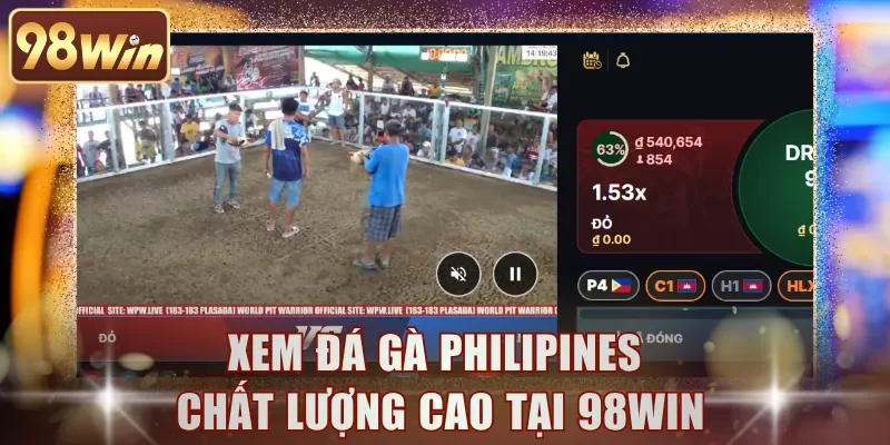 Xem đá gà Philipines chất lượng cao tại 98WIN